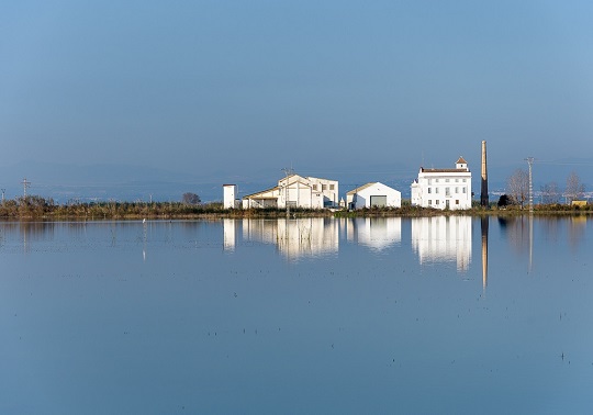 Paisatge Valencià